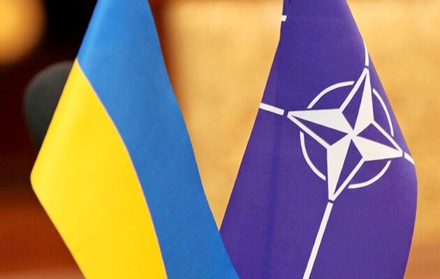 Зеленский и сенаторы США обсудили предоставление Украине Плана действий по членству в НАТО