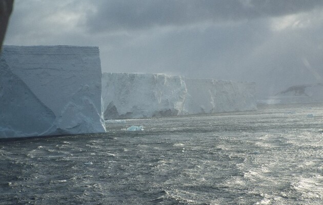 Маорі припливли в Антарктиду на 1000 років раніше за російську експедицію