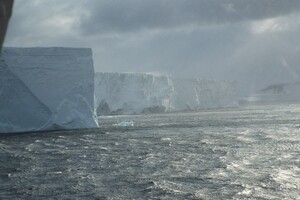 Маори могли открыть Антарктиду на 1000 лет раньше европейцев – ученые
