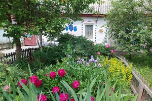 Ресайклінг по-українськи: В Кропивницькому стару хату прикрасили пластиковими кришечками 