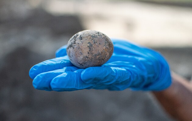 Археологи нашли в Израиле целое куриное яйцо возрастом 1000 лет