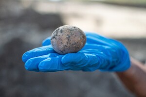 Археологи нашли в Израиле целое куриное яйцо возрастом 1000 лет