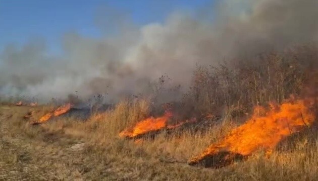 В Израиле возникли пожары в результате запущенных ракет из сектора Газа