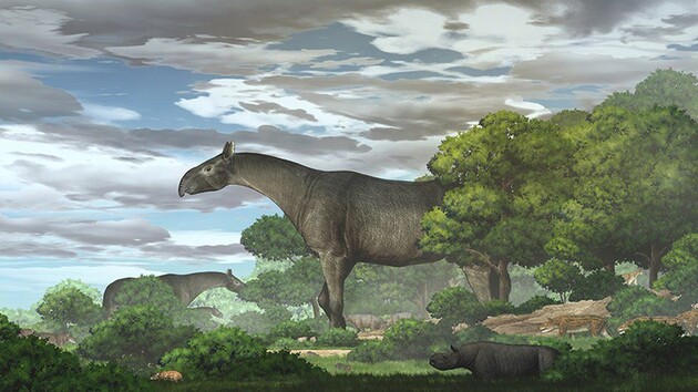 Ученые нашли в Китае окаменелости гигантского древнего носорога