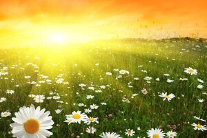 День летнего солнцестояния: приметы и традиции