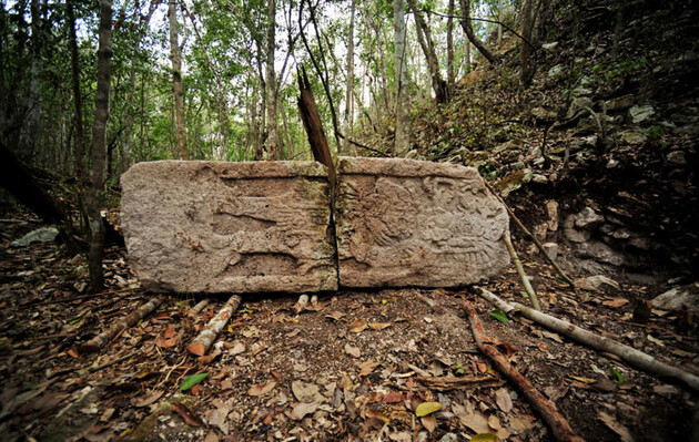 Вчені виявили парк у центрі поселення древніх майя 