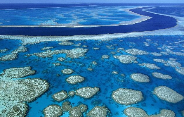 В ООН заявили, що Великий бар'єрний риф знаходиться під загрозою 