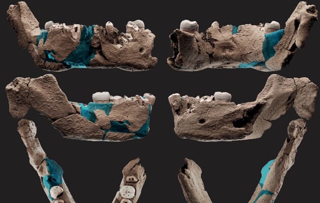 Вчені вважають, що останки належать новому виду людей