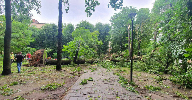  фото: сайт ГСЧС