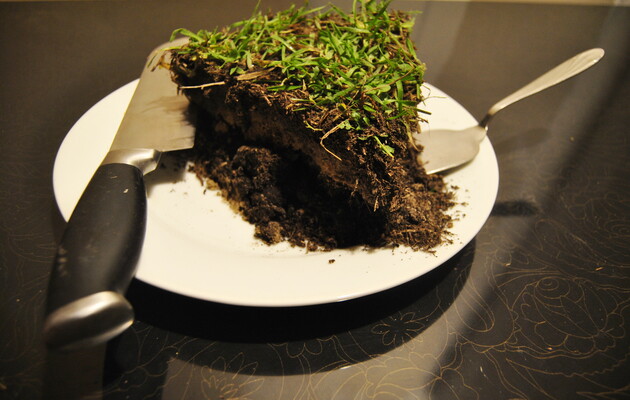 На частині території України продовжить діяти мораторій на продаж сільськогосподарської землі