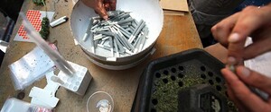 В Мексике декриминализировали марихуану для отдыха