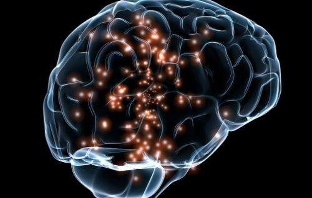 Нейробіологи виявили у мозку людини новий тип сигналу