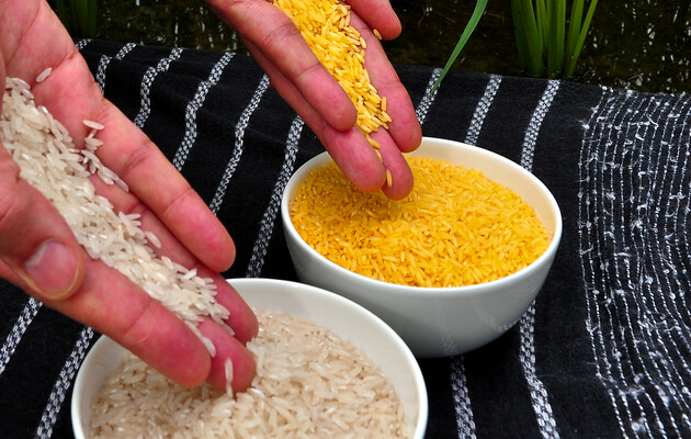 Ученые разработали новую вакцину от холеры