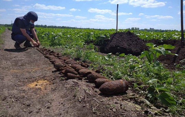 Українські сапери знешкодили три десятка снарядів і мін у зоні ООС за добу 
