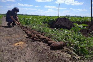 Українські сапери знешкодили три десятка снарядів і мін у зоні ООС за добу 