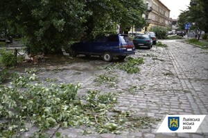 Львів знову постраждав від сильної бурі 