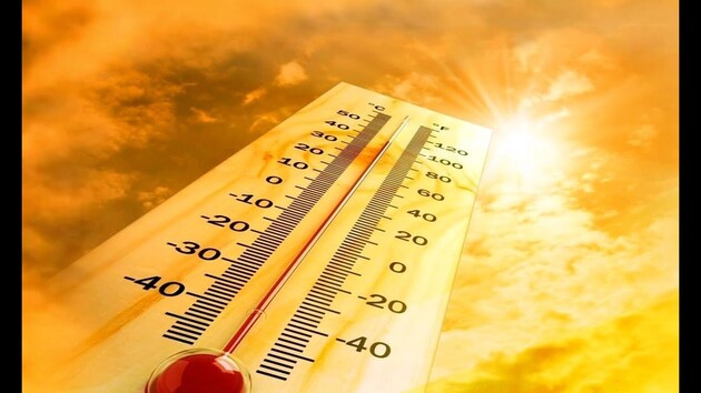 Аномальная жара в Канаде: за 5 дней умерли почти 500 человек
