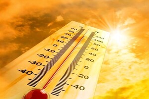 Аномальна спека в Канаді: за 5 днів померли майже 500 людей 
