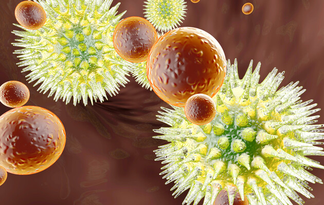 Еволюціонувати можуть не лише віруси, а й імунні клітини людини – вчена