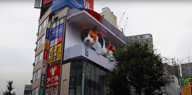 У Японії з'явився великий 3D-кіт, який нявчить на екрані торгового центру