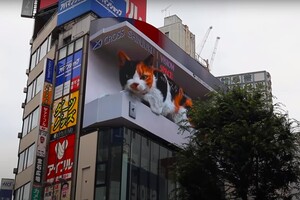В Японии появился большой 3D-кот, который мяукает на экране торгового центра 