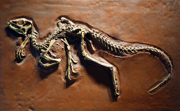 Динозаври могли дихати по-різному - дослідження 
