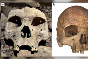 Археологи знайшли в Габоні останки людей з деформованими черепами 