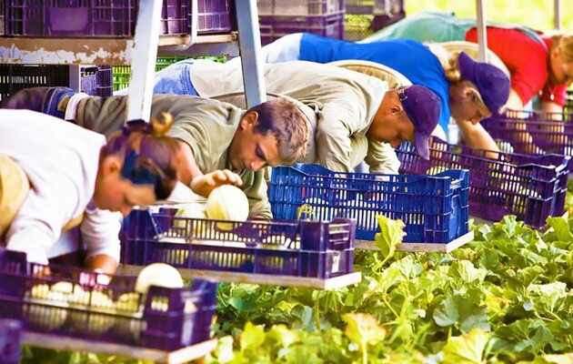 Фото: novosti-n.org