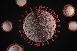РНК коронавірусу виявили у домі мешканців через місяць після того, як вони перехворіли на COVID-19