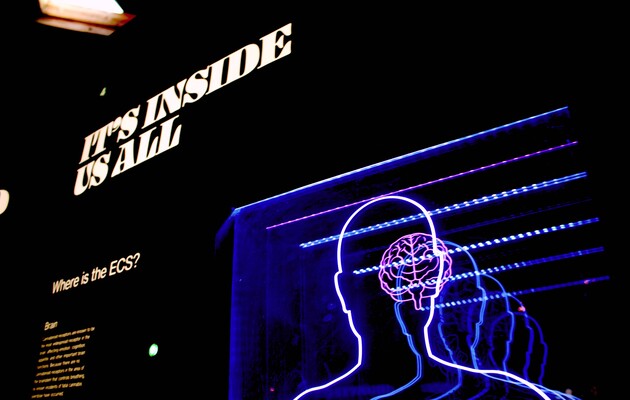 Людський мозок аналізує інформацію під час глибокої фази сну