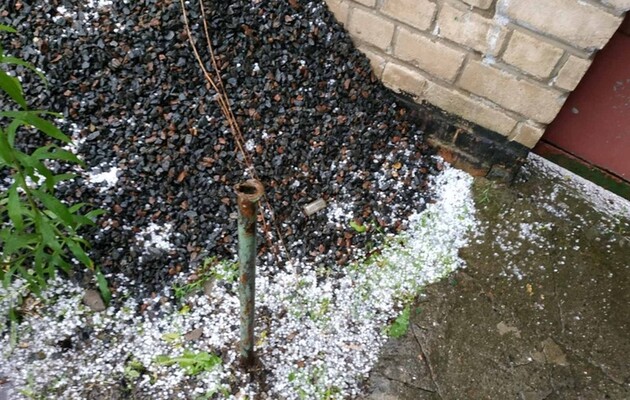 Фото: сайт novosti-n