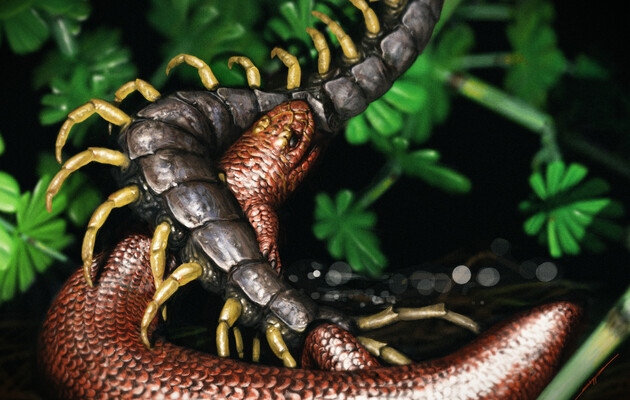  Художня реставрація того, як Йормунгандр болті б'ється з багатоніжкою