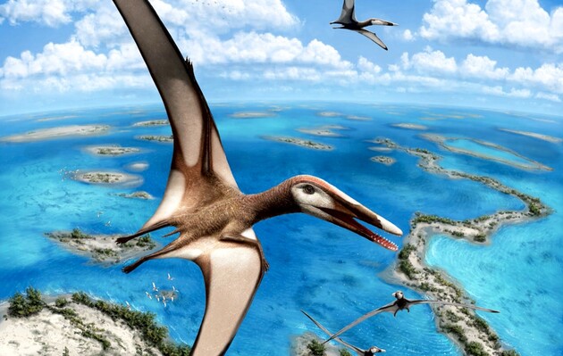 Птерозаври виявилися здатні літати з народження