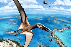 Птерозаври виявилися здатні до польоту з народження 