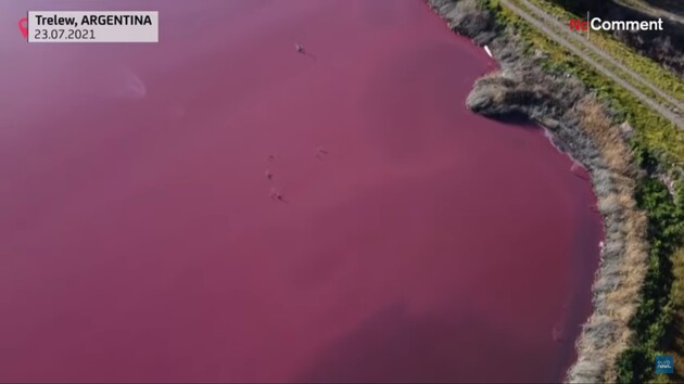 Вода в лагуні забарвилася в незвичайний колір