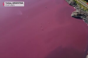 Лагуна в Аргентині забарвилася в фіолетовий колір 