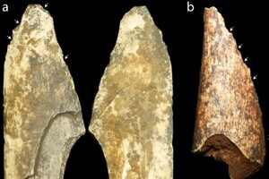 Вчені знайшли в ПАР кістяне знаряддя праці віком мільйон років