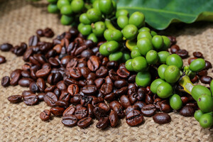 Світові ціни на каву продовжують стрімко зростати: названа причина 