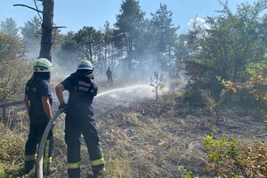 На острове Хортица произошел пожар в сосновом лесу - видео 