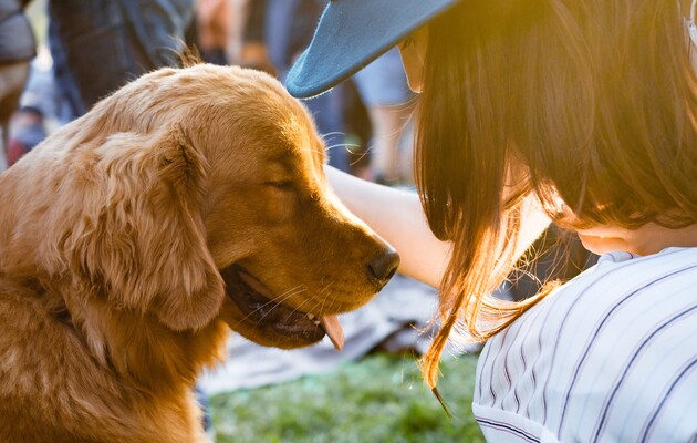 Собаки вміють розпізнавати людську брехню