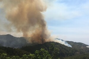 В Турции лесные пожары добрались до зон отдыха туристов и отелей — видео