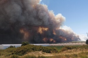 Регионы лесных пожаров в Турции являются зонами бедствия — Эрдоган 