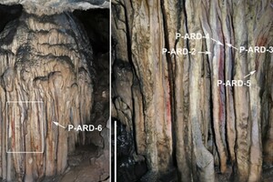 В іспанській печері знайшли малюнки неандертальців віком 65 тисяч років 