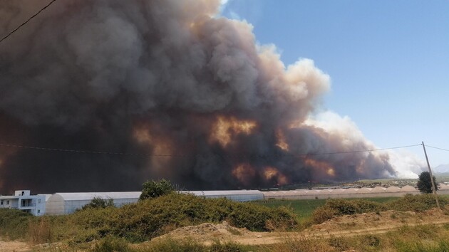 Лісові пожежі в Туреччині наблизилися до теплоелектростанції