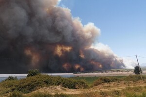 Лісові пожежі в Туреччині наблизилися до теплоелектростанції