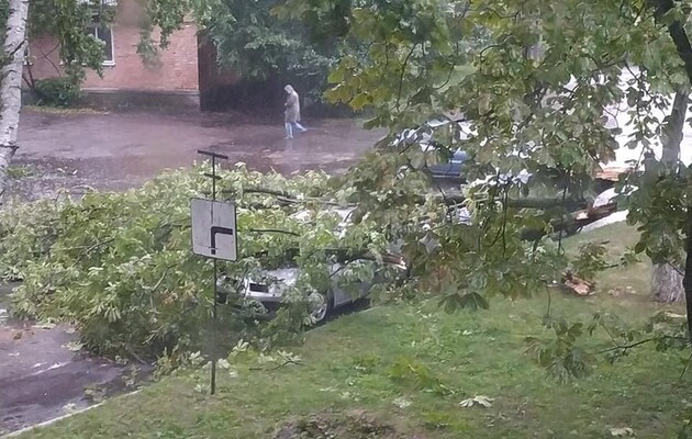 На Полтавщине непогода повалила деревья и сорвала крыши — фото, видео