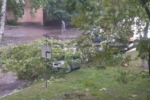На Полтавщине непогода повалила деревья и сорвала крыши — фото, видео