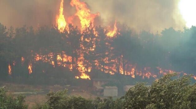 У турецькій провінції Анталья загасили пожежі 