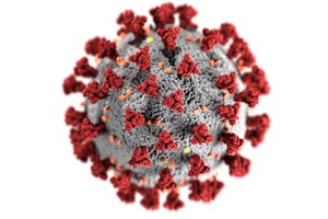 Нові штами коронавірусу можуть назвати на честь сузір’їв 