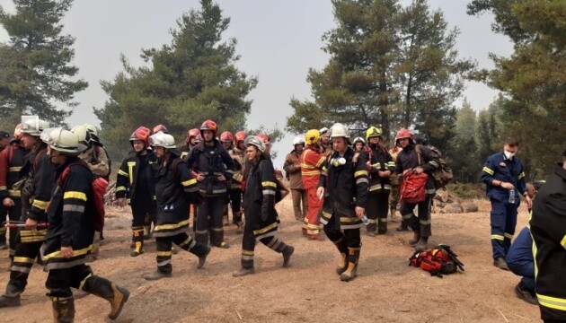 У Греції українські рятувальники загасили дві масштабні пожежі